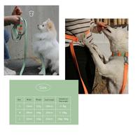 Gambar BITE ME KOREA Macaron Waterproof Dog Multi function Leash dari Lupins Market Kota Administrasi Jakarta Barat 5 Tokopedia