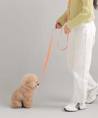 Gambar BITE ME KOREA Macaron Waterproof Dog Collar dari Lupins Market Kota Administrasi Jakarta Barat 2 Tokopedia