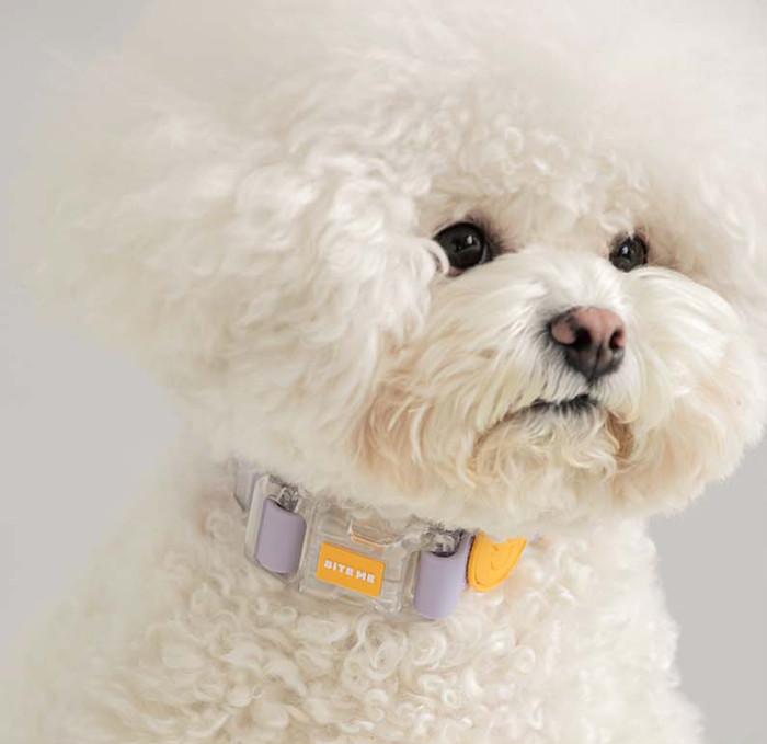 Gambar BITE ME KOREA Macaron Waterproof Dog Collar dari Lupins Market Kota Administrasi Jakarta Barat Tokopedia