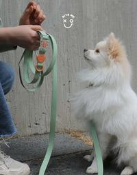 Gambar BITE ME KOREA Macaron Waterproof Dog Multi function Leash dari Lupins Market Kota Administrasi Jakarta Barat 3 Tokopedia