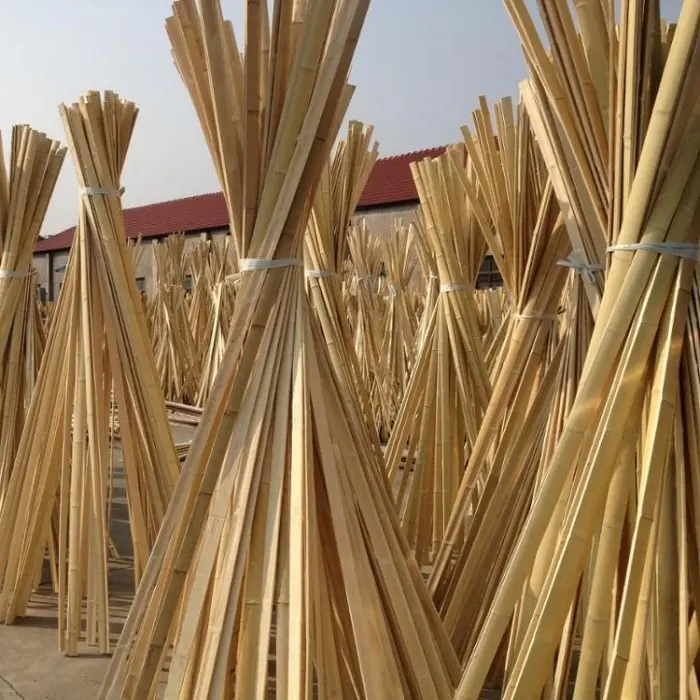 Bilaah Bambu - Batang Bambu 150 cm - Lebar 1 Cm 1