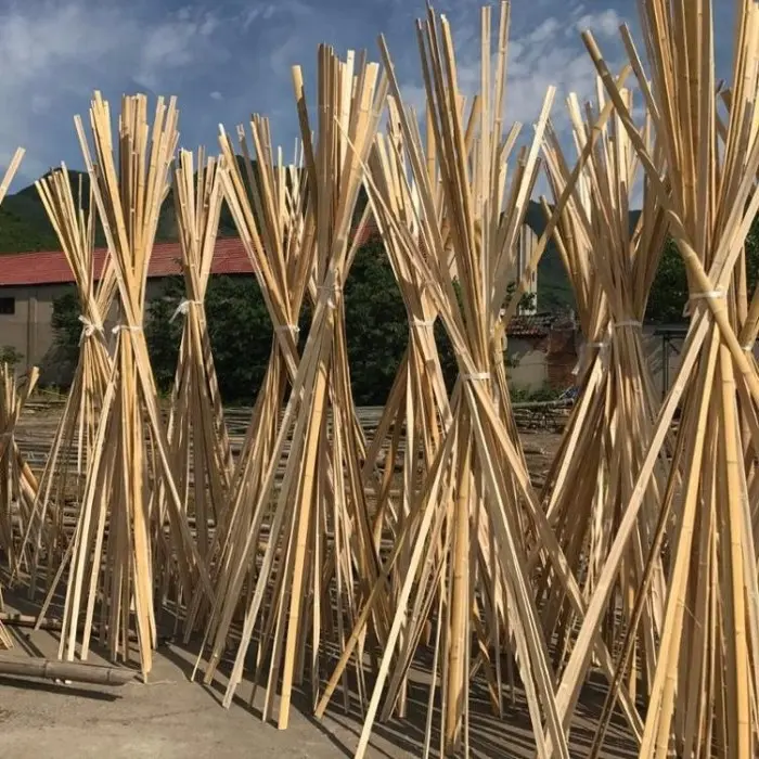 Bilaah Bambu - Batang Bambu 150 cm - Lebar 1 Cm 3