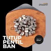 Gambar CHROME TUTUP PENTIL MOBIL MOTOR UNIVERSAL STAINLESS dari Studiootomotif.id Kab. Tangerang 2 Tokopedia