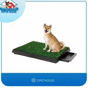TRAINING PAD ANJING GRASS MAT WITH TRAY
