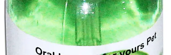 Mouth Wash Untuk Anjing / Kucing - Fresh Mouth Anti Septik Spray