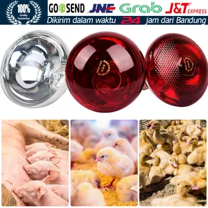 Lampu Infrared Penghangat Babi Ayam Sapi Ternak Hewan Pemanas 150W