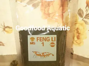 Feng Li 1 Repack 100 Gram Pakan Ikan Kecil Formula Terbukti Untuk Udang Budidaya Dan Burayak Segala Jenis Ikan Air Tawar