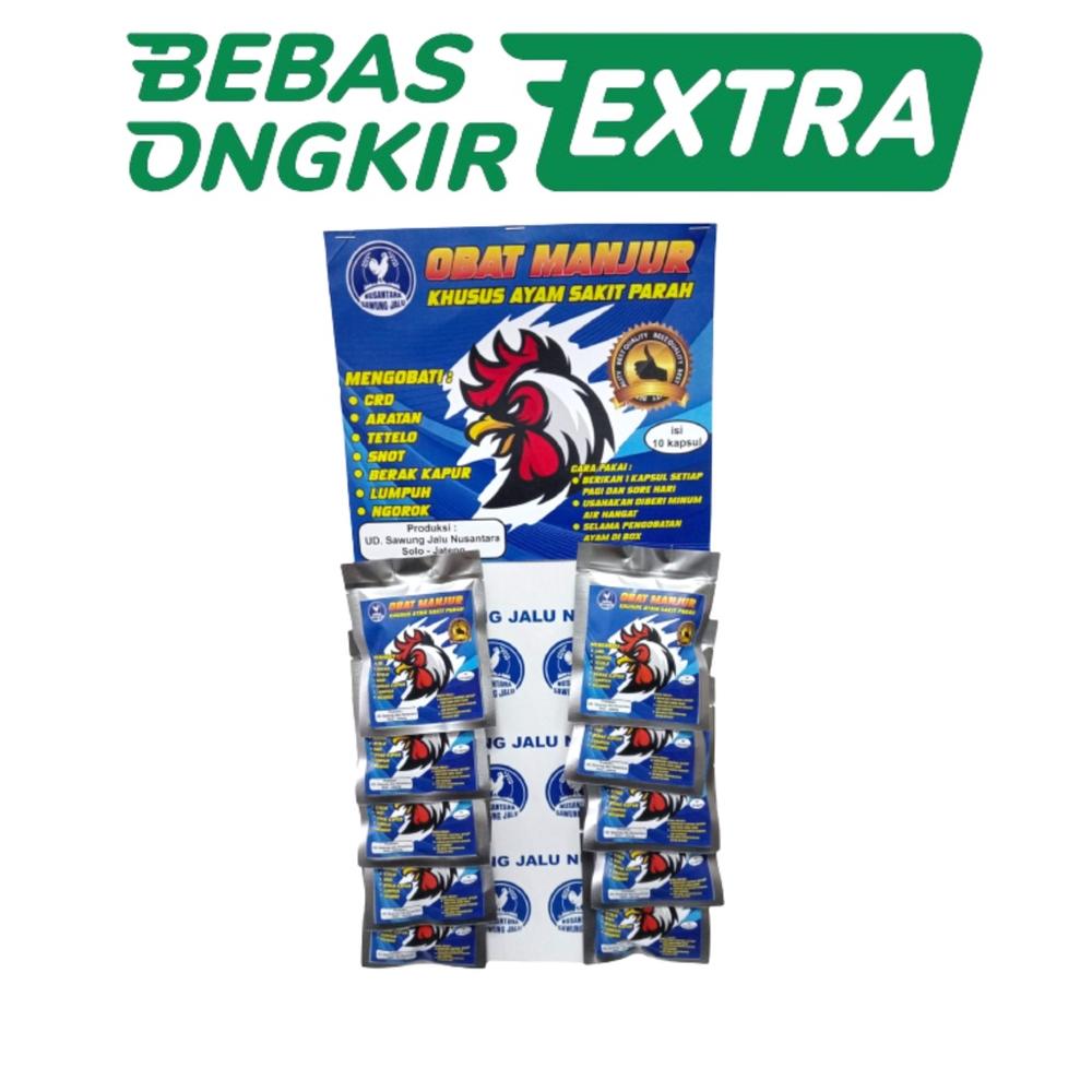 OBAT MANJUR 1 RENTENG - ISI 10 KAPSUL