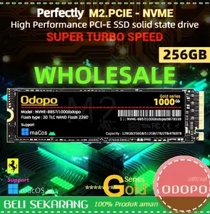 SSD M.2 NVME 256-ODOPO ( GROSIR )