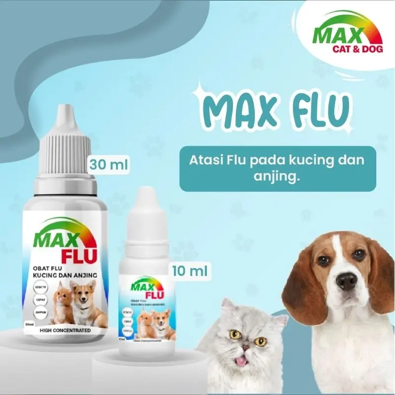 MAX FLU Obat Flu Batuk Pilek Kucing Bersin Konsentrasi Tinggi