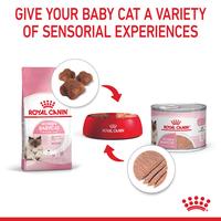 Gambar Royal Canin Mother & Babycat Makanan Induk & Bayi Kucing Wet (195g x 8 can) dari Royal Canin Indonesia Kota Administrasi Jakarta Timur 4 Tokopedia