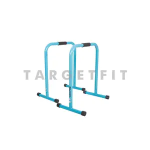 LIVEPRO PARALLETTES / DIP BAR / DIPS BAR / LEBERT EQUALIZER