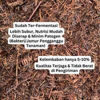 Gambar Workplant - Andam Fermentasi Humus Daun Batang Untuk Media Tanam Tanaman Hias Aglonema Philodendron Monstera Aroid dari workplant official Kota Surabaya 5 Tokopedia