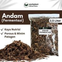 Gambar Workplant - Andam Fermentasi Humus Daun Batang Untuk Media Tanam Tanaman Hias Aglonema Philodendron Monstera Aroid dari workplant official Kota Surabaya 1 Tokopedia