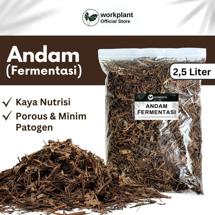 Gambar Workplant - Andam Fermentasi Humus Daun Batang Untuk Media Tanam Tanaman Hias Aglonema Philodendron Monstera Aroid dari workplant official Kota Surabaya Tokopedia