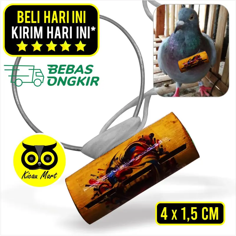SAWANGAN MERPATI KALUNG HOTANG HATONG PLUIT BURUNG MERPATI DARA SWGTG 0