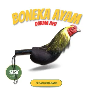 Boneka Ayam Aduan Abar Melatih Fisik Ayam