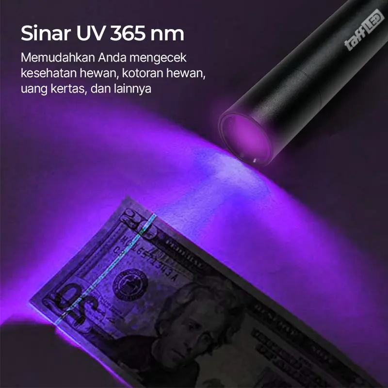 TaffLED Senter UV Pet Urine Fungus Detection Money Detector 365nm - S11-Z 3