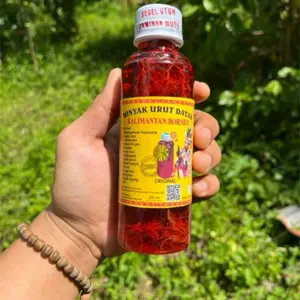 MINYAK URUT DAYAK ORI VIRAL DI TIKTOK / minyak urut/ gosok tulang