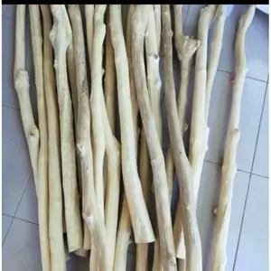 Terbaik Kayu kopi lurus panjang 100cm -120cm untuk tangkringan burung patok
