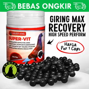 Super vit young pigeon 250 pil vitamin burung merpati muda lomba pos