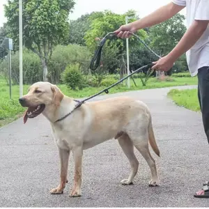 Tali Tuntun Slip Leash  Anjing Nylon Dog Leash Hight Quality 2 color