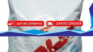 PELET IKAN KOI MS IKUSHU BREDEER PLUS Size L 8mm 10kg/MAKANAN IKAN KO