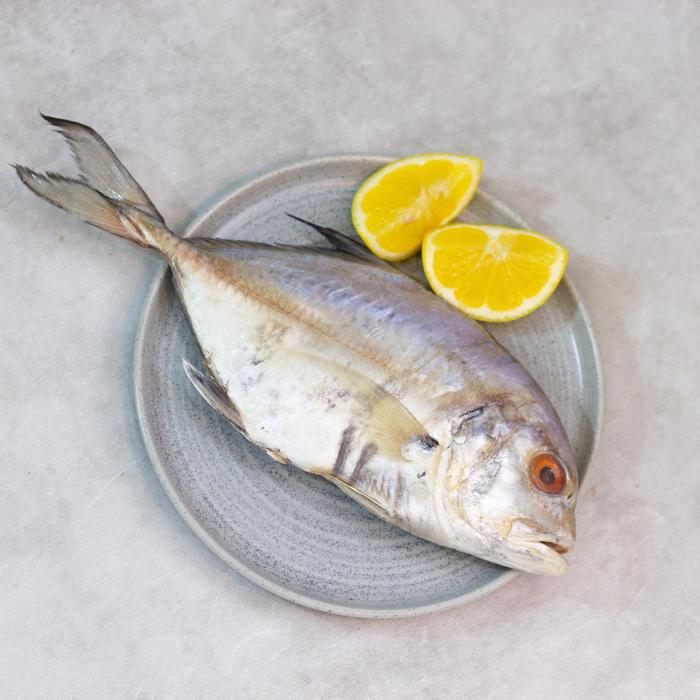 Gambar Devan Seafood Ikan Kuwe Bulet 500 gram Frozen Laut Sarden Cumi Daging Tebal Rasa Gurih dari Sayurbox Kab. Bogor Tokopedia