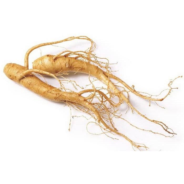 Panax Extract Ginseng Cair Liquid Per 50 ml