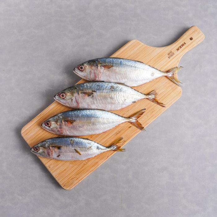 Gambar Ikan Kembung Como 500 gram dari Sayurbox Kab. Bogor Tokopedia