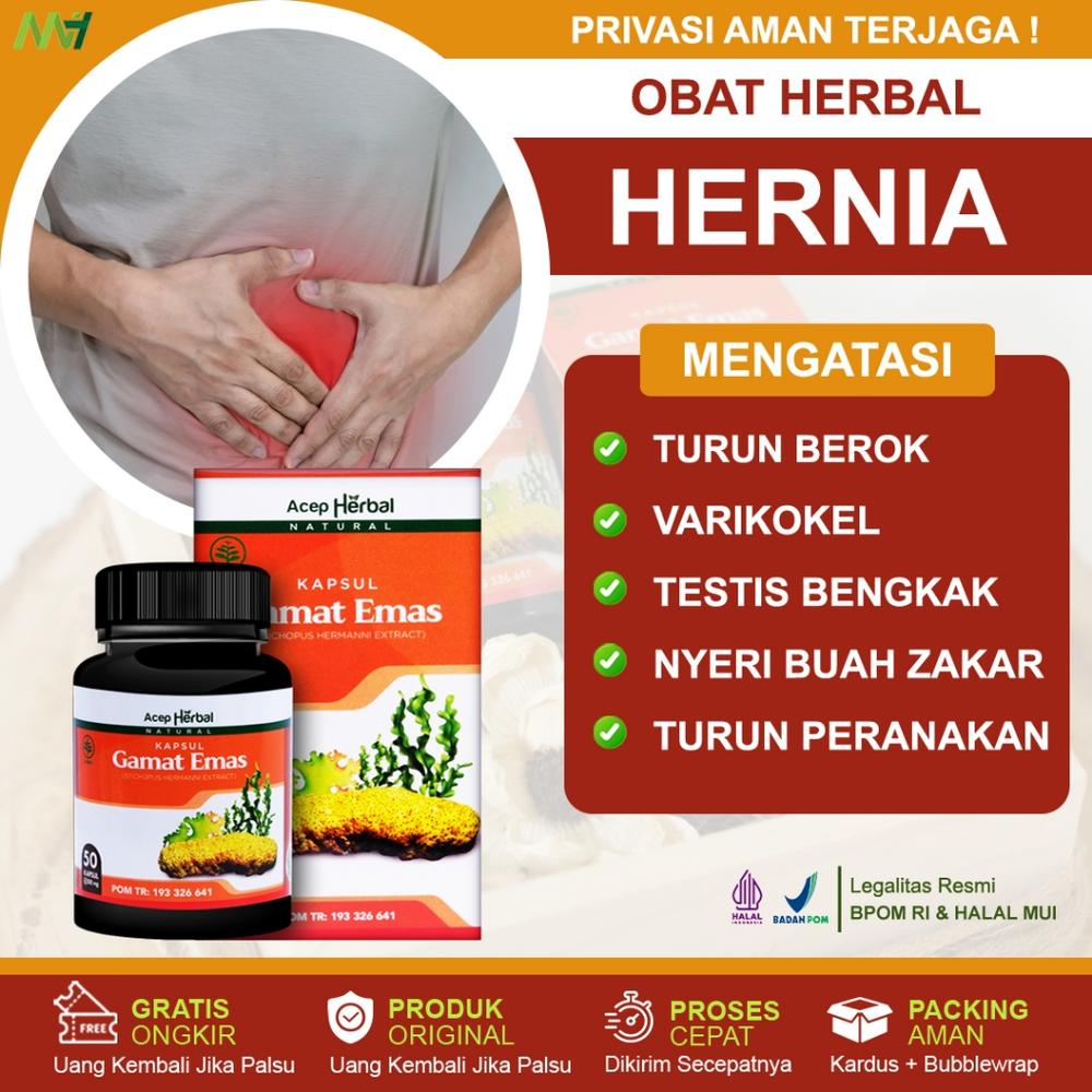 Obat Hernia Obat Turun Berok Dewasa Varikokel Testis Nyeri Buah Zakar