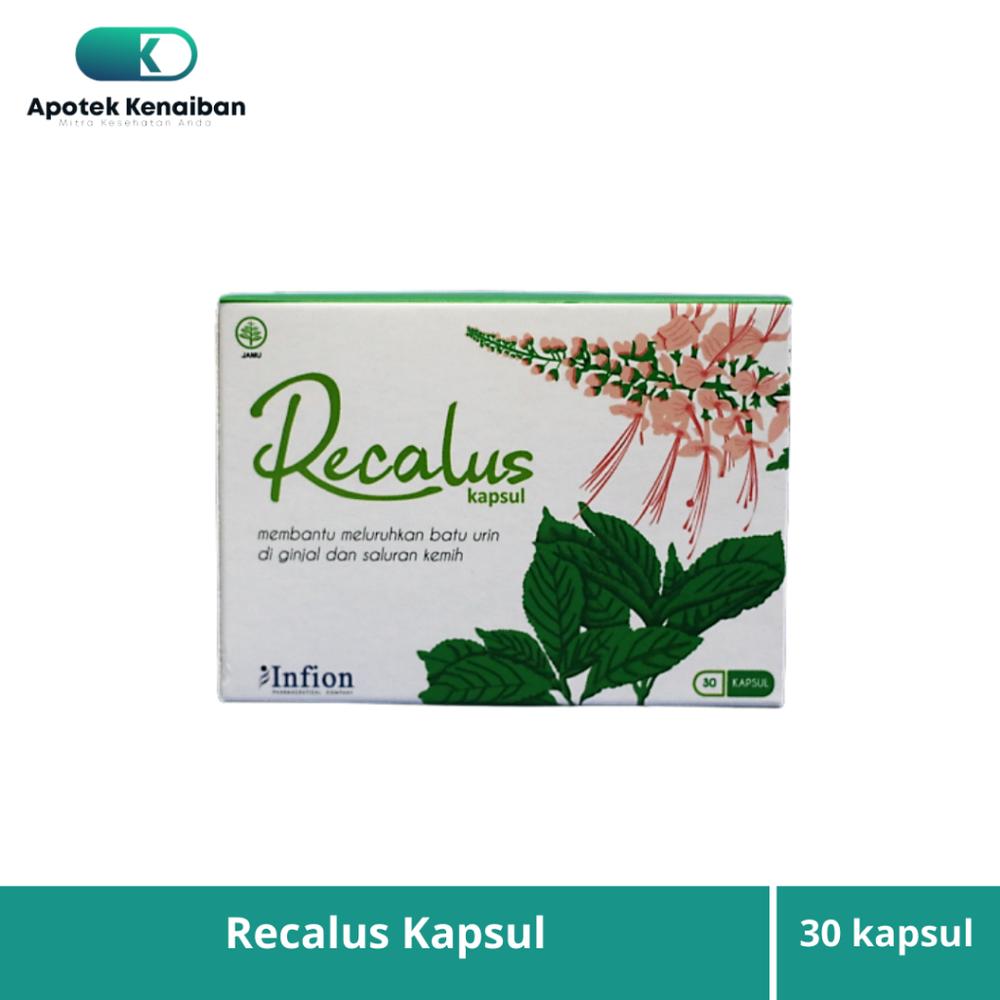 RECALUS KAPSUL / KAPSUL PELURUH BATU URIN / OBAT PELURUH BATU GINJAL