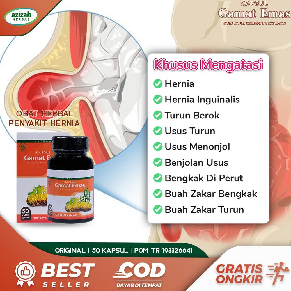 Obat Hernia Paling Ampuh Obat Hernia Inguinalis Paling Manjur Obat Tur