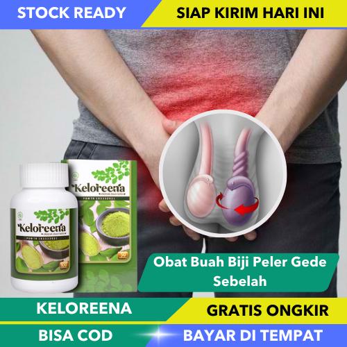 Obat Buah Biji Testis Gede Sebelah, Obat Bengkak Telur Pira, Obat Buah
