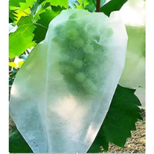 Fruit Cover Brongsong Buah Pembungkus Buah Pelindung Buah 4