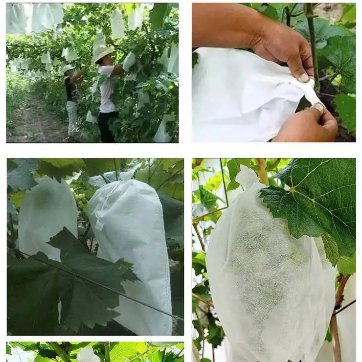 Fruit Cover Brongsong Buah Pembungkus Buah Pelindung Buah 5