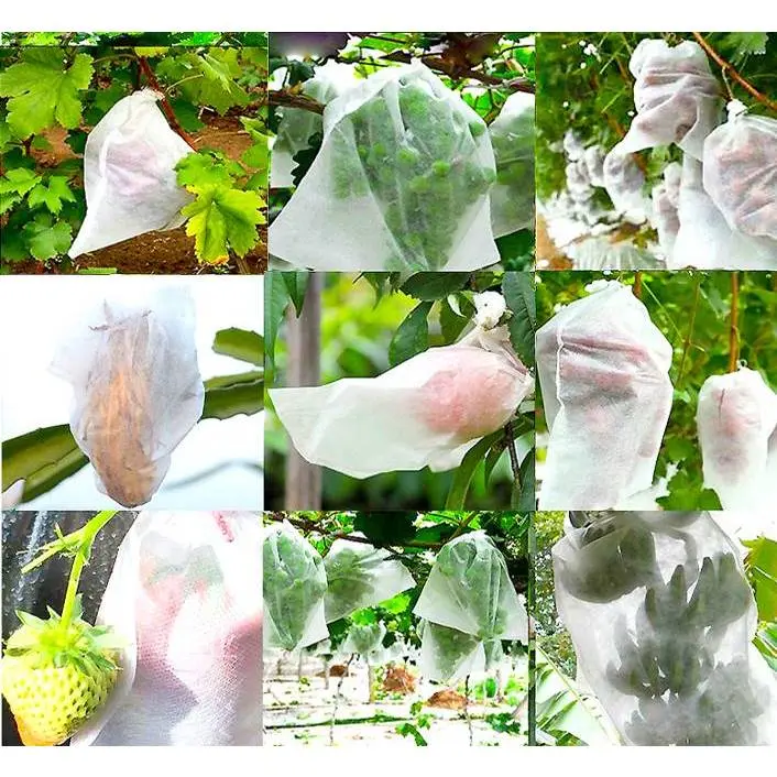 Fruit Cover Brongsong Buah Pembungkus Buah Pelindung Buah 0