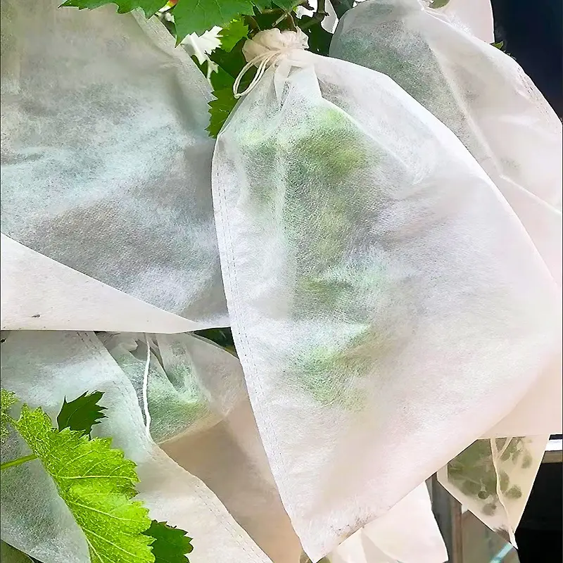Fruit Cover Brongsong Buah Pembungkus Buah Pelindung Buah 3