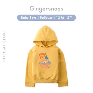 Gingersnaps Baby Hodgepodge Pullover - Jaket Bayi Laki-laki
