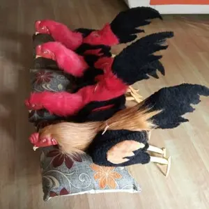 Boneka Ayam Aduan untuk Melatih Fisik Ayam Aduan atau Tarung
