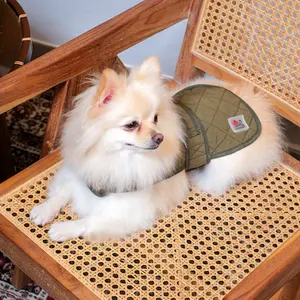 Noir Sur Blanc Pet Nylon Quilted Coat Olive