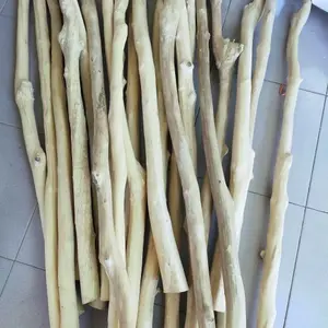 Kayu Kopi Lurus Panjang 2M Diameter 5Cm Untuk Tangkringan Burung Parot Terbatas