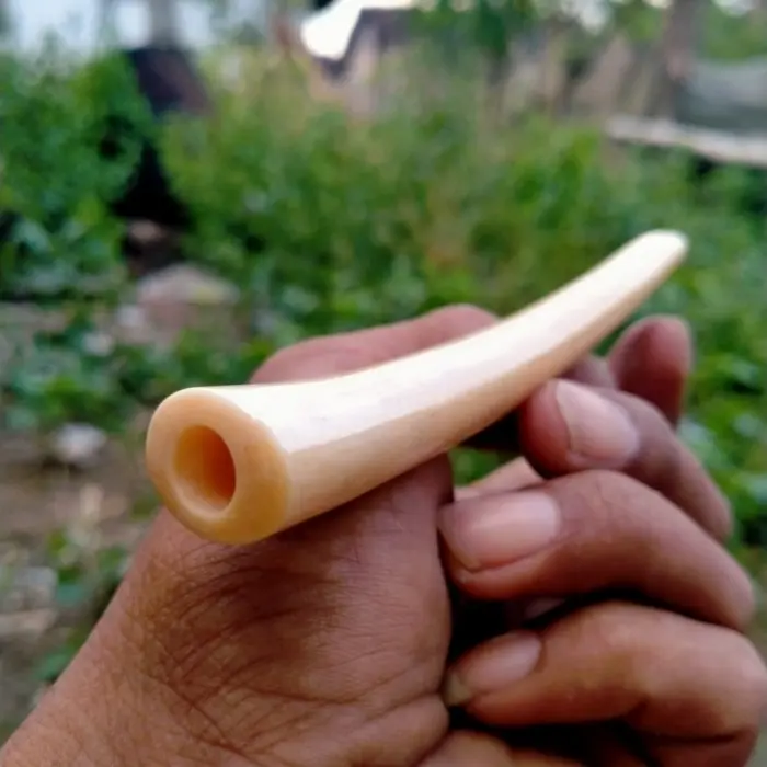 pipa once tulang iga duyung oval 12 0
