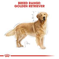 Gambar Royal Canin Golden Retriever Adult (3kg) Dry Makanan Anjing Dewasa - Breed Health Nutrition dari Royal Canin Indonesia Kota Administrasi Jakarta Timur 3 Tokopedia