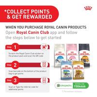 Gambar Royal Canin Digestive Care (85g x 3 pouches) Wet Makanan Kucing Dewasa - Feline Care Nutrition dari Royal Canin Indonesia Kota Administrasi Jakarta Timur 2 Tokopedia