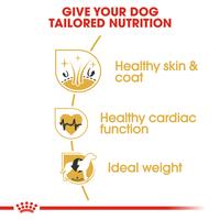 Gambar Royal Canin Golden Retriever Adult (3kg) Dry Makanan Anjing Dewasa - Breed Health Nutrition dari Royal Canin Indonesia Kota Administrasi Jakarta Timur 5 Tokopedia