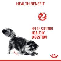 Gambar Royal Canin Digestive Care (85g x 3 pouches) Wet Makanan Kucing Dewasa - Feline Care Nutrition dari Royal Canin Indonesia Kota Administrasi Jakarta Timur 5 Tokopedia