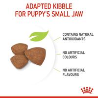 Gambar Royal Canin Mini Puppy (8kg) Dry Makanan Anak Anjing - Size Health Nutrition dari Royal Canin Indonesia Kota Administrasi Jakarta Timur 5 Tokopedia