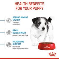Gambar Royal Canin Mini Puppy (8kg) Dry Makanan Anak Anjing - Size Health Nutrition dari Royal Canin Indonesia Kota Administrasi Jakarta Timur 4 Tokopedia