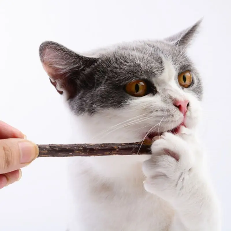 SC Catnip Stick Kucing Matabi Cat Toys Anti Stres 1